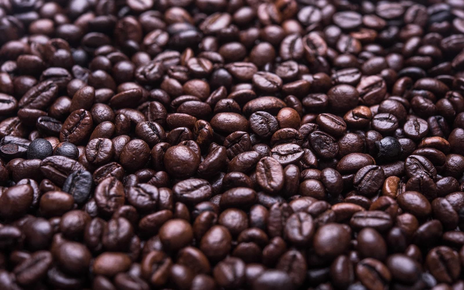 Coffee Matters — detail 1
